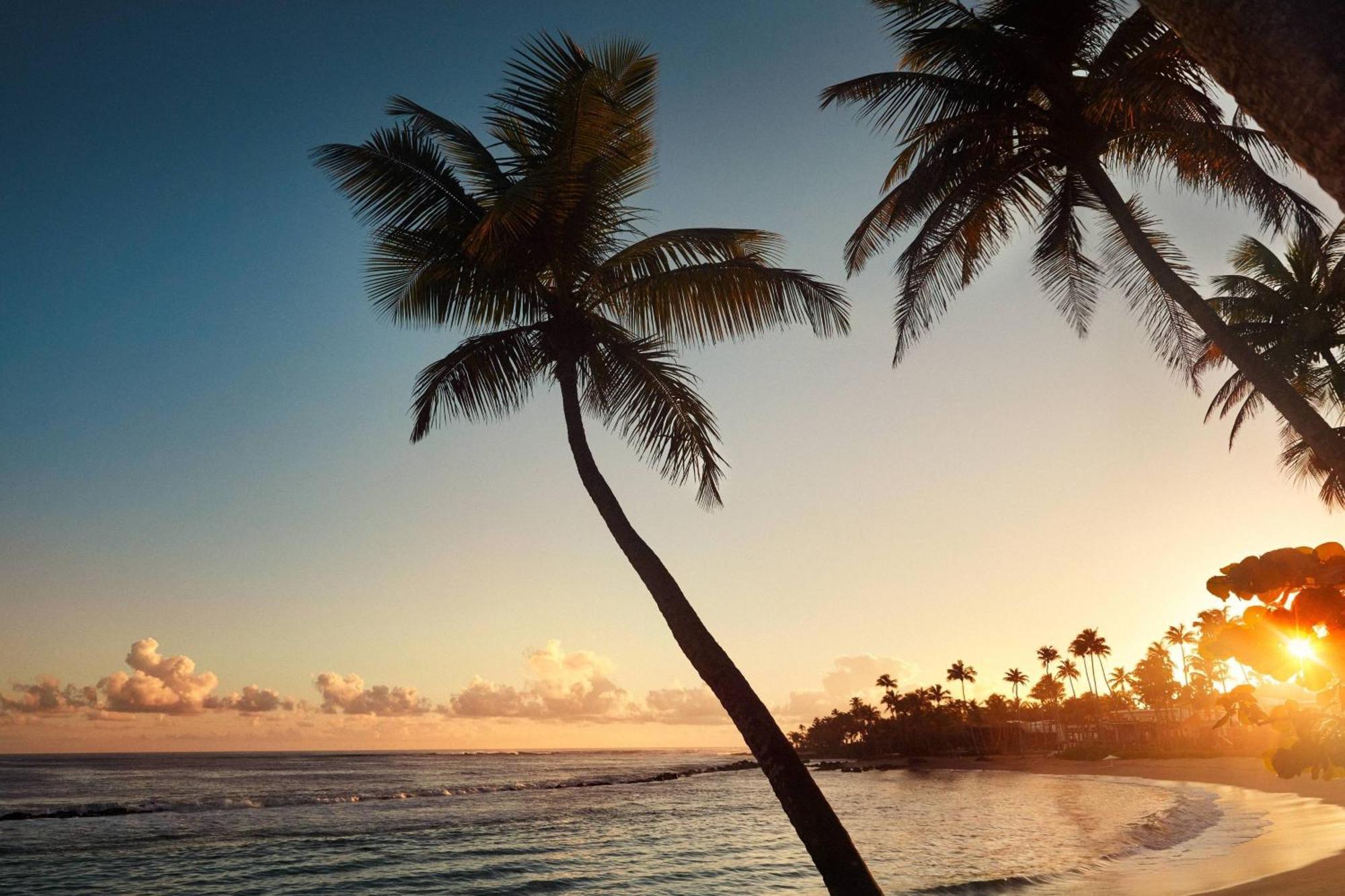 Dorado Beach, A Ritz-Carlton Reserve Εξωτερικό φωτογραφία